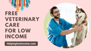 Free Veterinary Care For Low Income